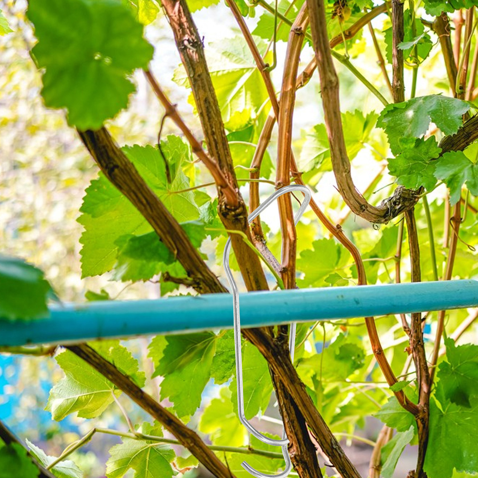 20Pcs 16Mm Trellis Connectors  - Plastic Pipe Clip review and price