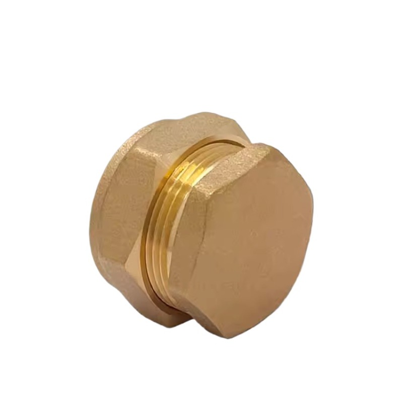 Brass Card sleeve plug 15 16 2 - Compression Fitting Brass review and price